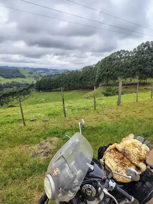 Foto enviada por Marcelo Cerqueira Lima